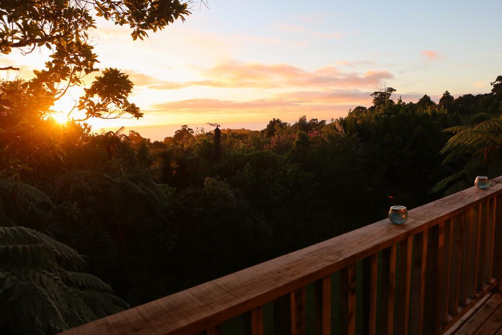 Willa Te Nikau Retreat Punakaiki Zewnętrze zdjęcie